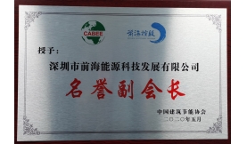 被推選為中國建筑節(jié)能協(xié)會名譽副會長